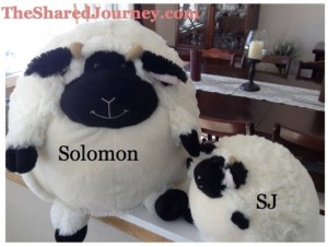 Feeling the Love~ Solmon & SJ