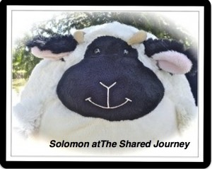 Solomon at the Shared Journey 3